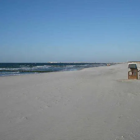 Kuestenwald - Igel 67 Muritz