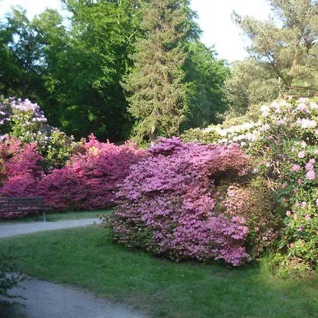 Kuestenwald - Igel 67 Appartamento Muritz