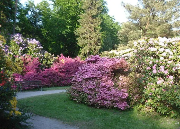 Kuestenwald - Igel 67 公寓 *